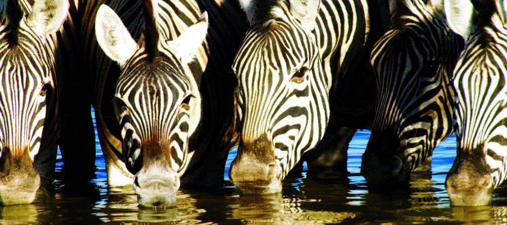 Mushara Outpost - Image 2