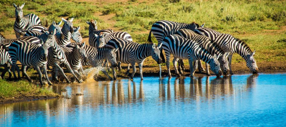 Ol Donyo Lodge, Chyulu Hills, Kenya - Image 16