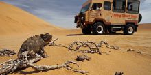 Living Desert Tour, Namibia