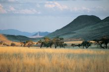 Landscape at Wolwedans Dune Camp, NamibRand Nature Reserve, Namibia