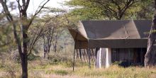 Olaado Camp, Serengeti National Park, Tanzania