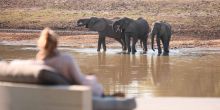 From the comfort of the outdoor loungers guests can watch the wildlife drawn to the river at Chinzombo, South Luangwa National Park, Zambia