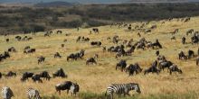 Mahali Mzuri, Olare Motogori Conservancy, Kenya