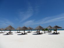 Rows of charming thatched umbrellas await at Gold Zanzibar Beach House & Spa, Zanzibar, Tanzania (Mango staff photo)