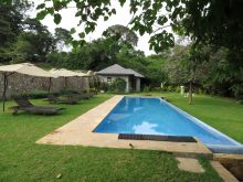The secluded pool and sun loungers at Lake Duluti Lodge, Arusha, Tanzania (Mango staff photo)