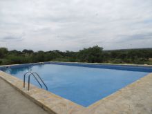 The large pool overlooks the baobab spotted landscape at Tarangire Osupuko Lodge, Tarangire National Park, Tanzania (Mango staff photo)