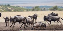 Mahali Mzuri, Olare Motogori Conservancy, Kenya