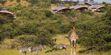 Mahali Mzuri, Olare Motogori Conservancy, Kenya