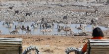 Guests sit in the observation area overlooking the watering hole that attracts abundant wildlife at Okaukuejo Rest Camp, Etosha National Park, Namibia