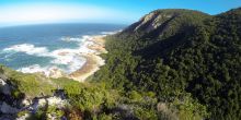 The Harkerville Hiking Trail, Garden Route, South Africa