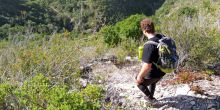 The Harkerville Hiking Trail, Garden Route, South Africa
