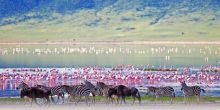 Safari in the Ngorongoro Crater
