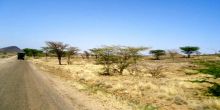 Turkana Basin Institute, Sibiloi National Park, Kenya