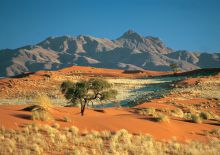 Landscape at Wolwedans Dune Camp, NamibRand Nature Reserve, Namibia