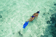 Snorkeling off the beach at New Emerald Cove, Praslin, Seychelles
