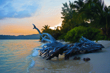 The sunset on the beach at New Emerald Cove, Praslin, Seychelles