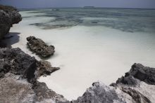 Shoreline at Kandili Villa, Zanzibar, Tanzania