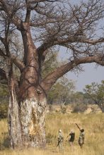 Exploring at Xudum Okavango Delta Lodge, Okavango Delta, Botswana (AndBeyond)
