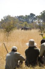 Game walk at Xudum Okavango Delta Lodge, Okavango Delta, Botswana (AndBeyond)