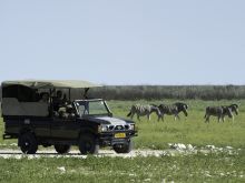 Anderssons Camp, Etosha National Park, Namibia Â© Dana Allen