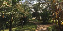 Airport Planet Lodge - Arusha