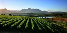 Asara Wine Estate & Hotel