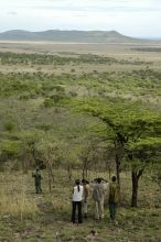 Bird watching at Serena Serengeti Safari Lodge, Serengeti National Park, Tanzania