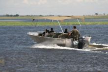 Boat safari at Elephant Valley Lodge, Chobe National Park, Botswana