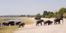 Delta Explorer Campsite, Okavango Delta, Botswana