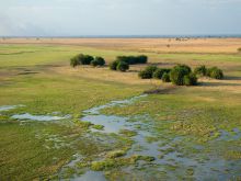 Busanga Bush Camp, Kafue National Park, Zamiba Â© Dana Allen