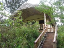 Cabin exterior at Engagi Lodge, Bwindi Impenetrable Forest, Uganda