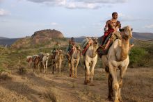 Camel back exploration at Ol Malo, Laikipia, Kenya