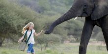 Camp Jabulani Elephant Interaction & Safari