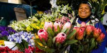 Cape Town flower sellers
