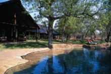 Chapungu Luxury Tented Camp - Pool