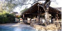 Pool and day lounge at Chapungu Luxury Tented Camp, Thornybush Game Reserve, South Africa