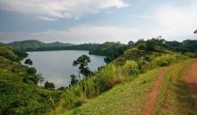 Hiking in Kibale Forest