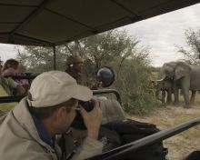 Photographing elephants at Chitabe Camp, Moremi Game Reserve, Botswana (Dave Hamman)