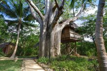 Room at Chole Mjini Lodge, Mafia Island, Tanzania