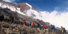 The Machame Route, Mt Kilimanjaro, Tanzania