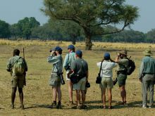 Game viewing on Mana Pool Canoe Trails, Mana Pool National Park, Zimbabwe (Wilderness Safaris)