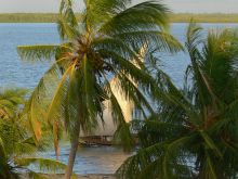 A dhow hiding behind palm trees at Peponi Hotel, Lamu Island, Kenya