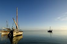 Dhow cruisers float in the serene waters at Pole Pole Bungalow Resort, Mafia Island, Tanzania
