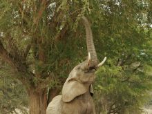 Doro Nawas Camp, Damaraland, Namibia Â© Mike Myers