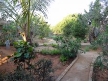 The gardens at Orchidee Hotel, Tsingy, Madagascar (Mango Staff photo)