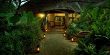 Royal Tree Lodge, Maun, Botswana