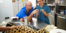 Cheetah Conservation Fund Visit