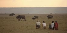 Elephant Pepper Camp, Masai Mara National Reserve, Kenya