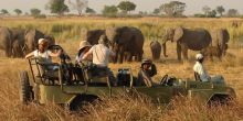 Game drive at Elephant Valley Lodge, Chobe National Park, Botswana
