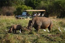 Elsas Kopje, Meru National Park, Kenya